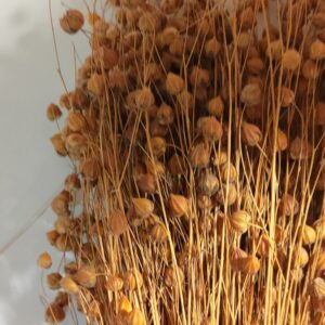 Workshop: Sticka i lin